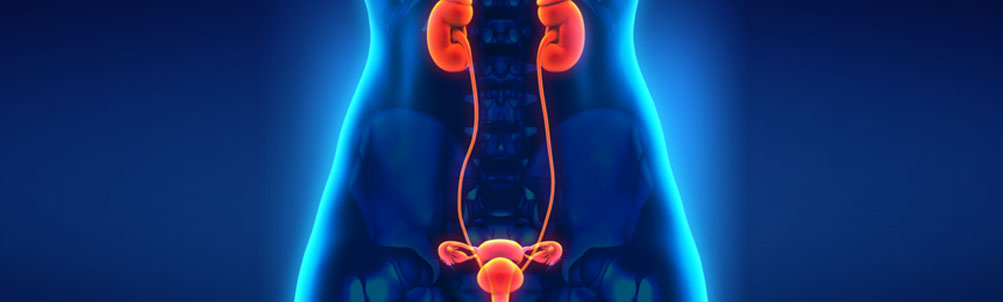 Recurrent Urinary Tract Infection