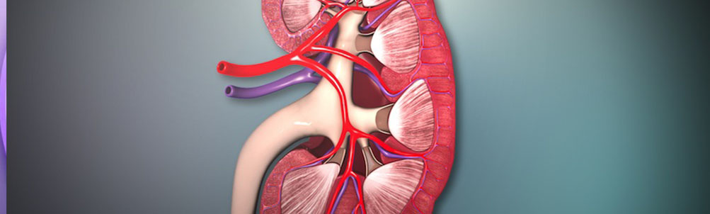 Renal Transplant